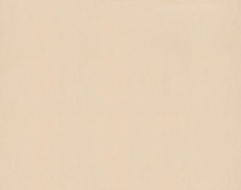 [100111112_7] Marmoleum Fresco - 3858 Barbados
